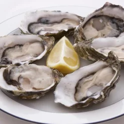 Coffret Huîtres Couteau & 4 Fourchettes 14cm Naturel