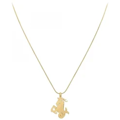 Collier astrologie Capricorne SC Bohème en Acier Finement doré
