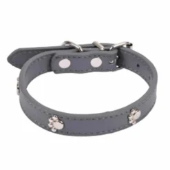 Collier Fantaisie pour Chien Pattes 35cm Anthracite
