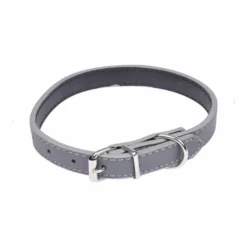 Collier pour Chien Design Uni 30cm Gris