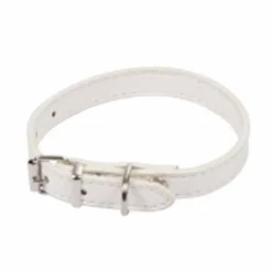 Collier pour Chien Design Uni 30cm Blanc