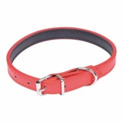 Collier pour Chien Design Uni 40cm Rouge