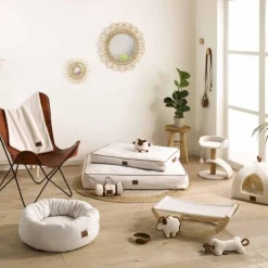 Collier pour Chien Wooly 50cm Cognac & Écru