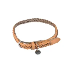 Collier pour Chien Réglable Tressé 45-65cm Naturel