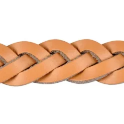 Collier pour Chien Réglable Tressé 45-65cm Naturel