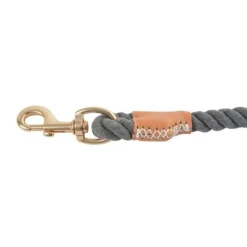 Collier Pour Chien Réglable City 70cm Anthracite