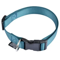 Collier Réglable pour Chien Essentiel 45cm Émeraude