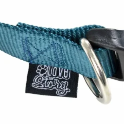 Collier Réglable pour Chien Essentiel 45cm Émeraude