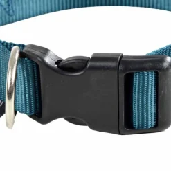 Collier Réglable pour Chien Essentiel 45cm Émeraude