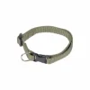 Collier Réglable pour Chien Essentiel 35cm Kaki