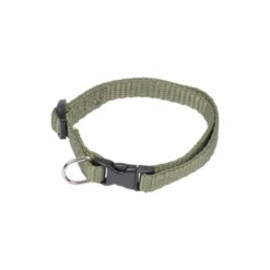 Collier Réglable pour Chien Essentiel 35cm Kaki