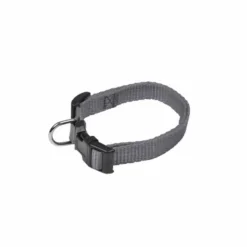 Collier Réglable pour Chien Essentiel 35cm Anthracite