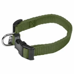 Collier Réglable pour Chien Essentiel 45cm Kaki