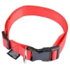 Collier Réglable pour Chien Essentiel 35cm Rouge