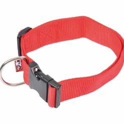 Collier Réglable pour Chien Essentiel 70cm Rouge