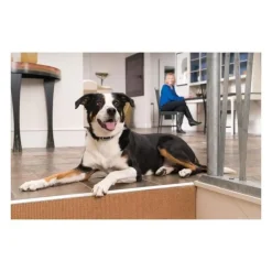 Collier supplémentaire pour Systemes d'aide a l'éducation 300-600-900 m