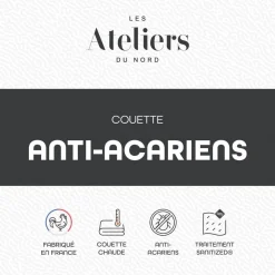 Couette Chaude Anti-acariens