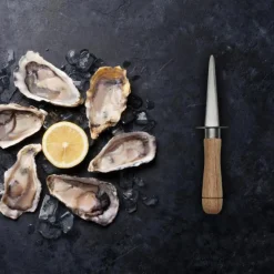 Couteau à Huître Garde 20cm Naturel