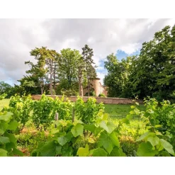 Dégustation de 4 cuvées, balade et pique-nique pour 2 dans les jardins d'un château du Beaujolais - Coffret Cadeau Sport & Aventure