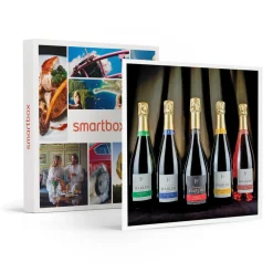 Dégustation de champagne et visite de domaine dans la Marne - Coffret Cadeau Gastronomie