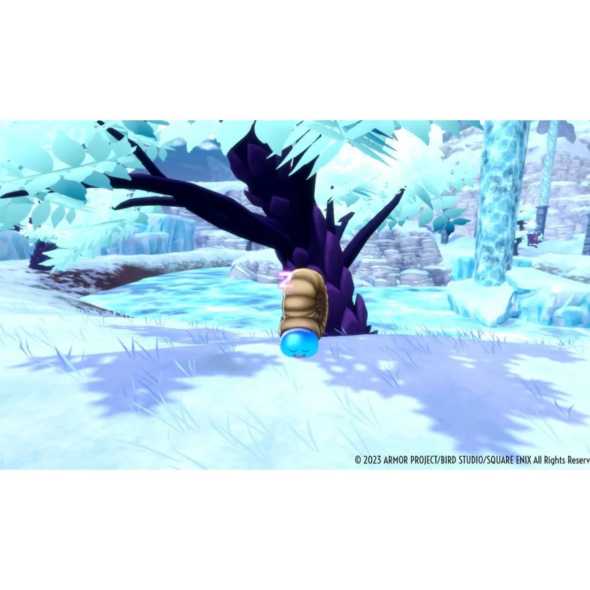 Dragon Quest Monsters: Le Prince des ombres Nintendo Switch