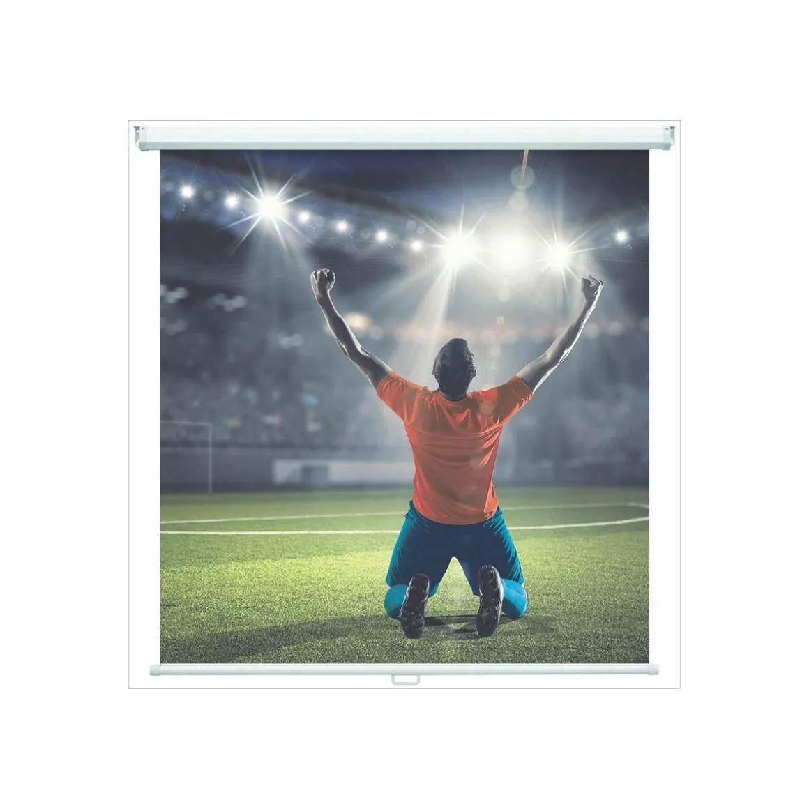 Ecran de projection Cineflex manuel 150x200