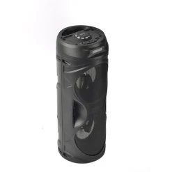 Enceinte Bluetooth Q1308