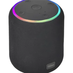 Enceinte portable Q1708 - Noire
