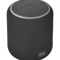 Enceinte portable Q1708 - Noire