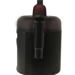 Enceinte portable Q1894 Karaoké et Micro - Noir
