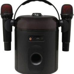Enceinte portable Q1894 Karaoké et Micro - Noir