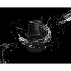 Enceinte portable sans fil Sony Bluetooth ULT Field 1 - Noir