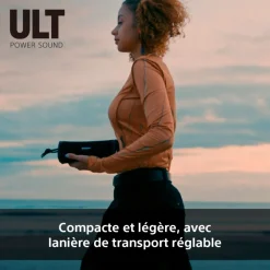 Enceinte portable sans fil Bluetooth ULT Field 1 - Gris forêt