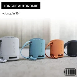 Enceinte portable SRS-XB100 Corail