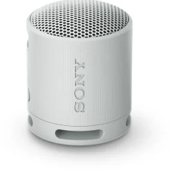 Enceinte portable SRS-XB100 Gris Perle