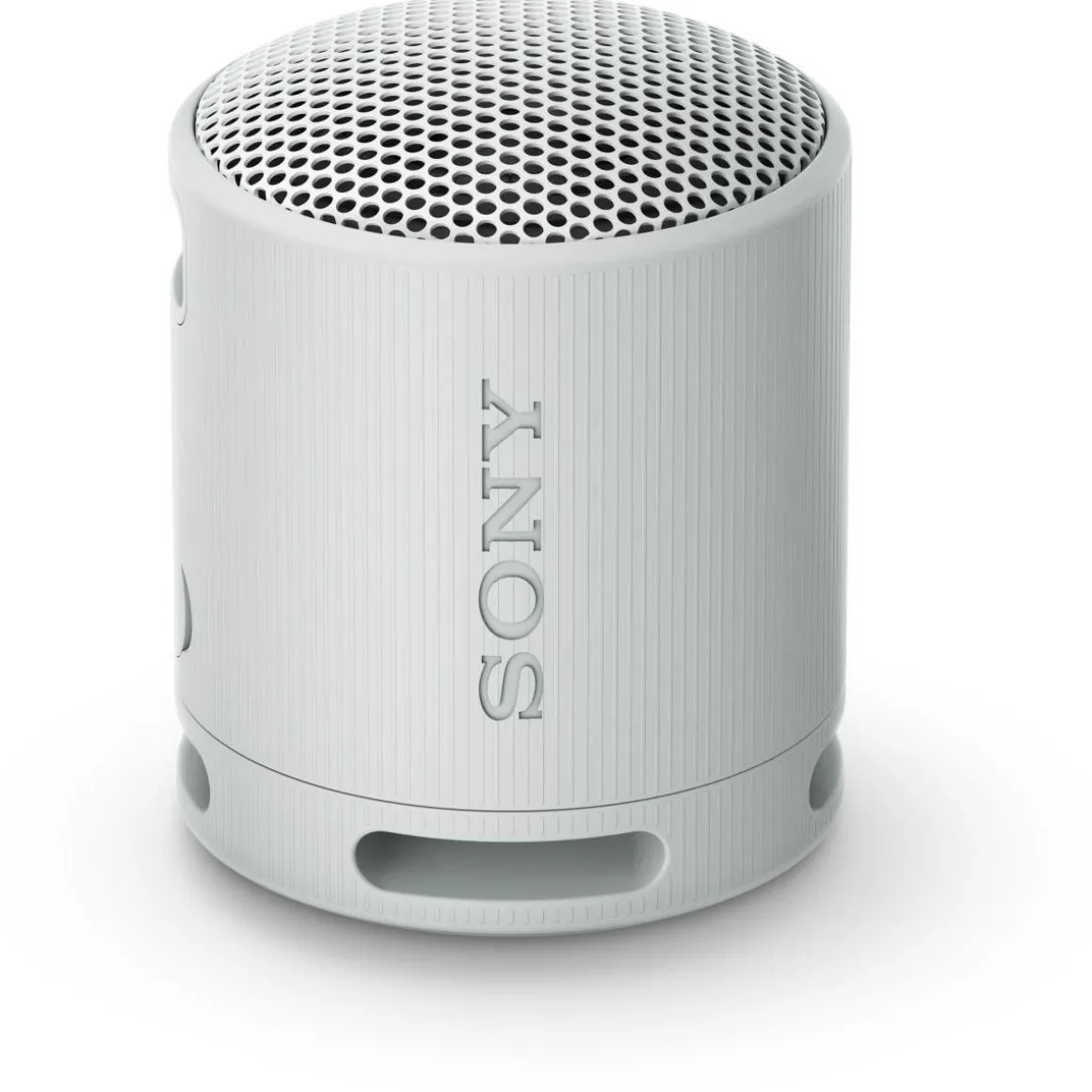 Enceinte portable SRS-XB100 Gris Perle