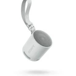 Enceinte portable SRS-XB100 Gris Perle