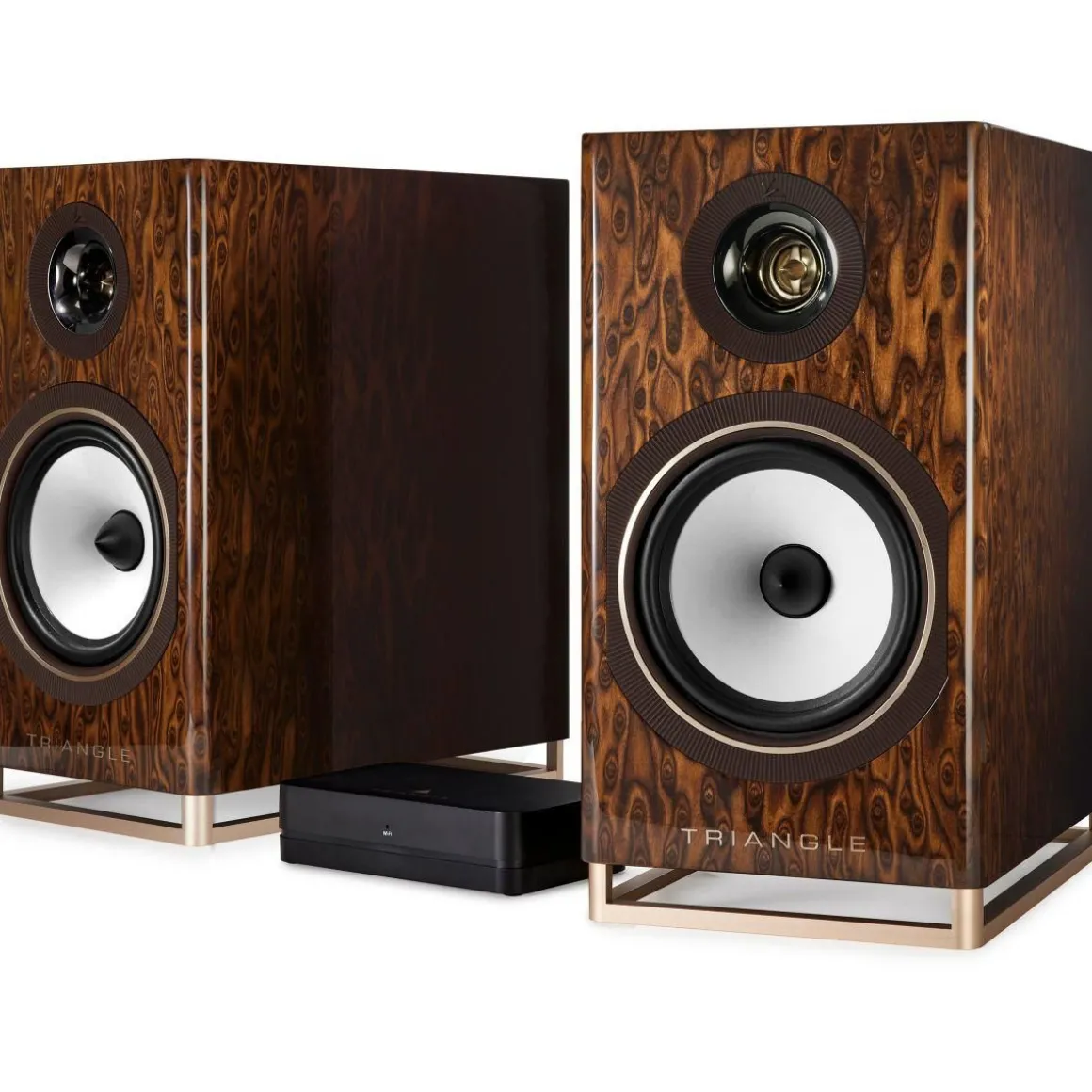 Enceinte sans fil Capella Nébuleuse Brune