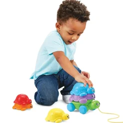 Famille Empilo Tortue