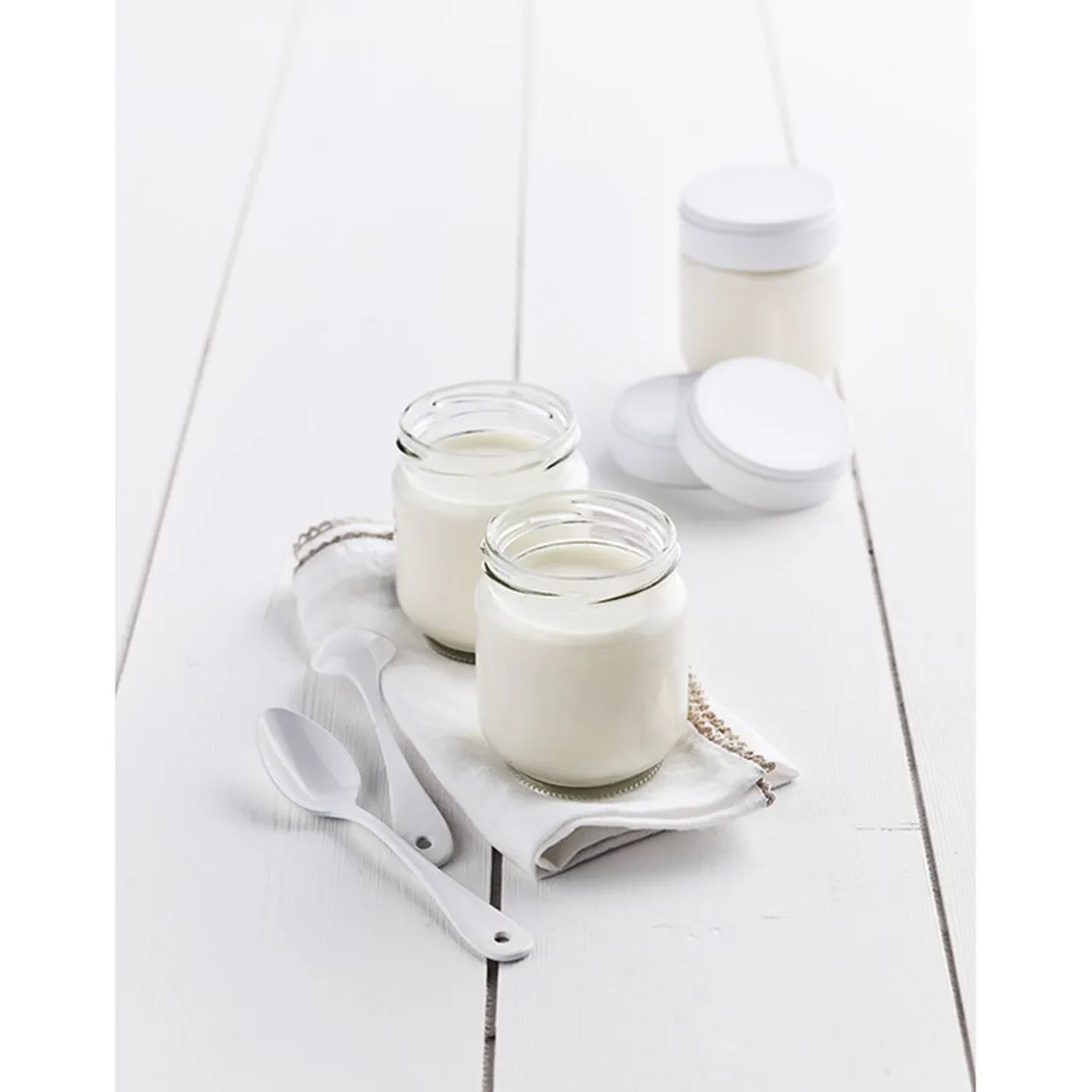 Ferments pour yaourt