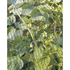 Filet de protection 2x10m