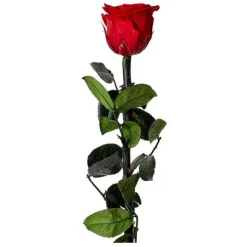 Fleur Artificielle Rose sur Tige 30cm Vert & Rouge