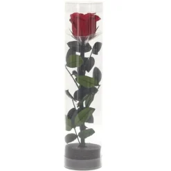 Fleur Artificielle Rose sur Tige 30cm Vert & Rouge