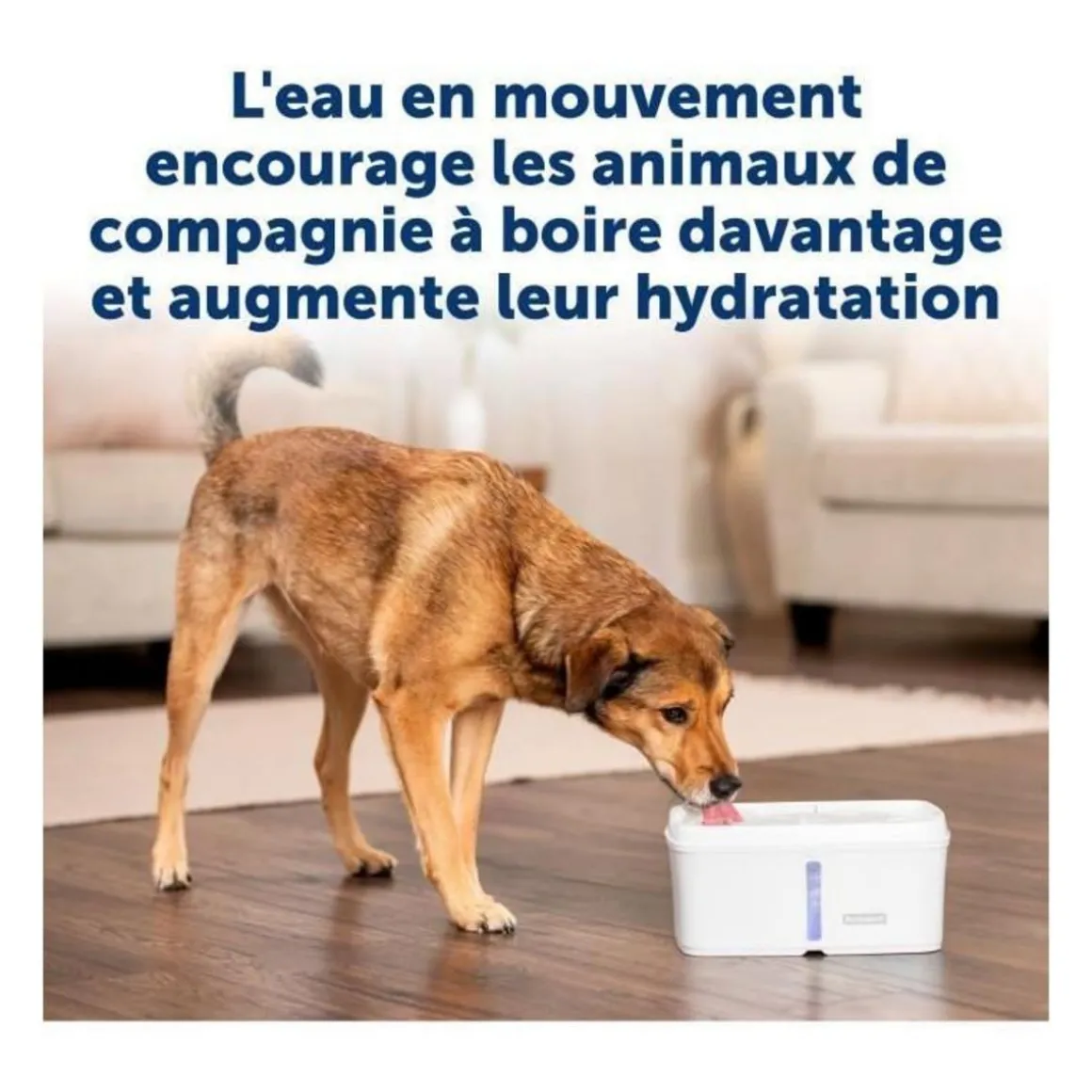 Fontaine a eau - PETSAFE - VIVA - 4,1 L - Blanc