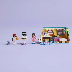 Friends 42647 - La Chambre de Paisley