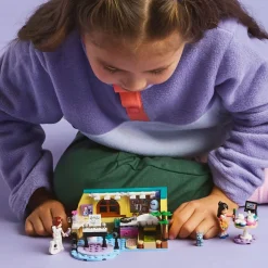 Friends 42647 - La Chambre de Paisley