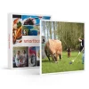Golf au milieu des animaux et des champs pour 3 en Normandie - Coffret Cadeau Sport & Aventure