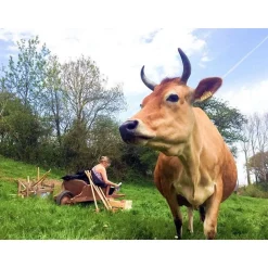 Golf au milieu des animaux et des champs pour 3 en Normandie - Coffret Cadeau Sport & Aventure