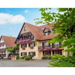 Halte de 2 jours en 3* avec dîner et accès au spa près de Strasbourg - Coffret Cadeau Séjour