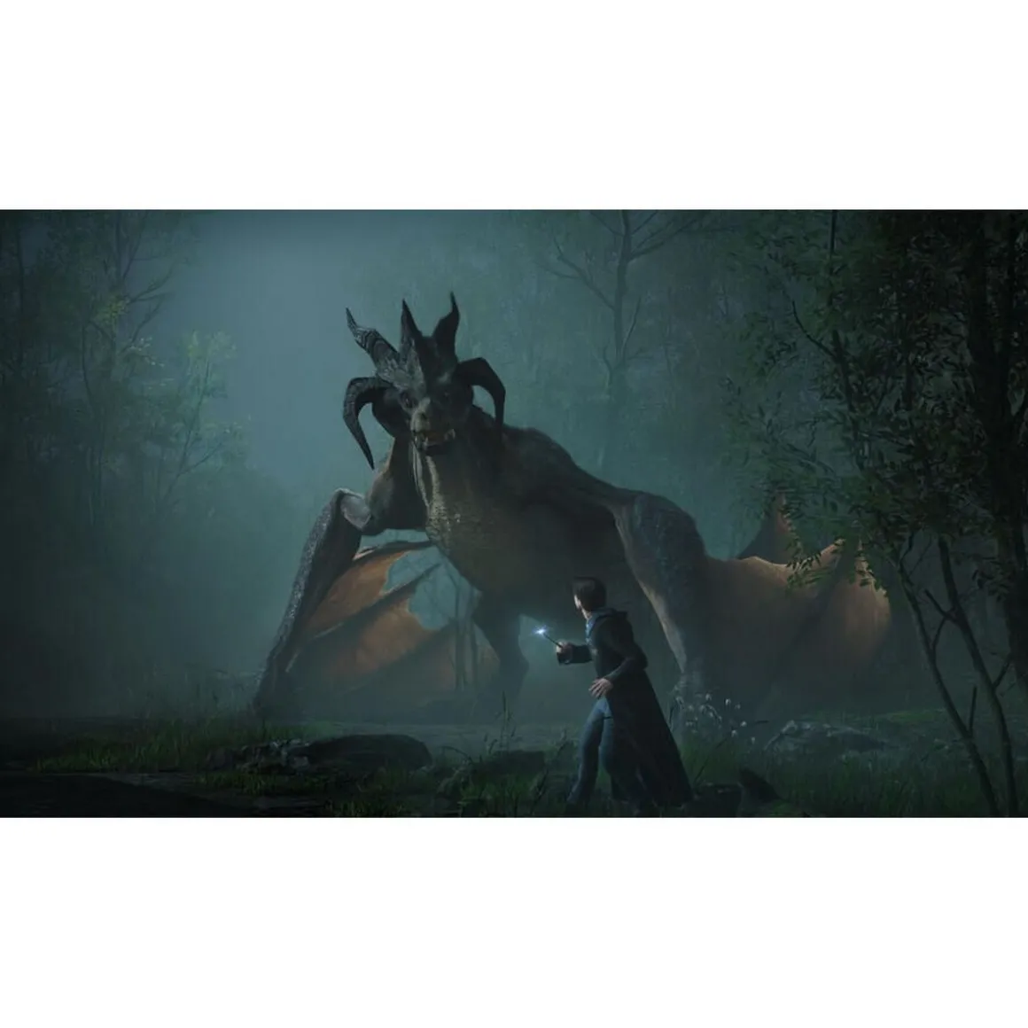 Hogwarts Legacy: L'Héritage de Poudlard Xbox Series X